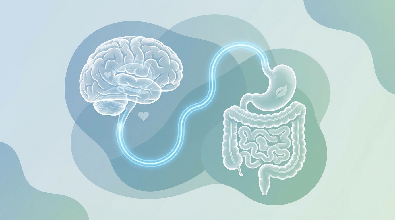 The Gut-Brain Connection: How Your Vagus Nerve Controls Digestion and Mood
